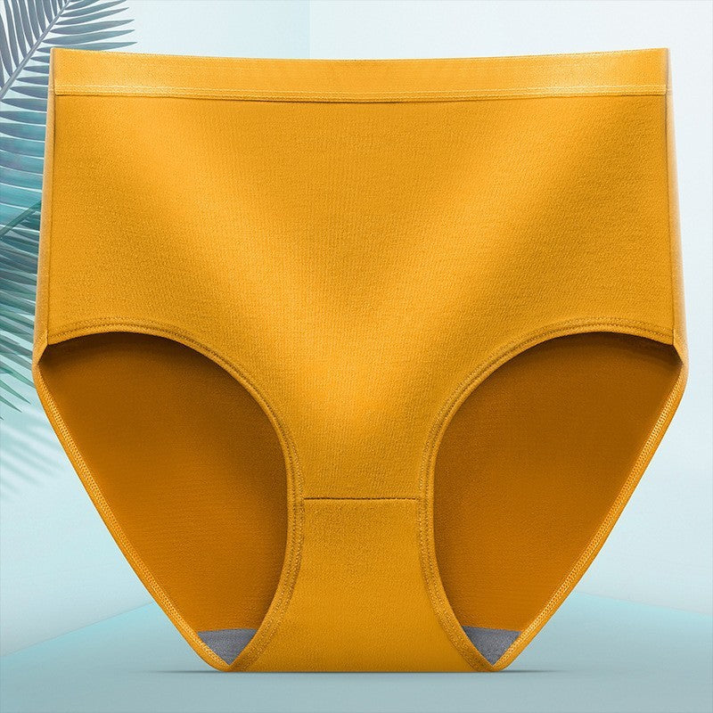 Sleek Silk Tummy Tuck Shaping Panties