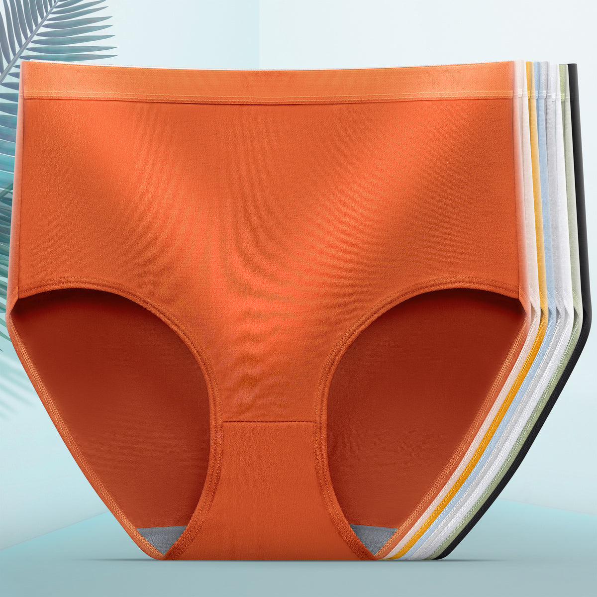Sleek Silk Tummy Tuck Shaping Panties