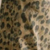 Leopard / S