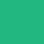 Parakeet / 6